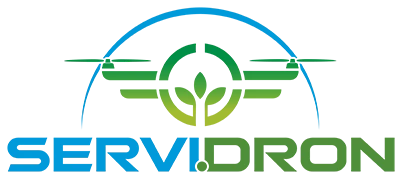 Logo Servidron